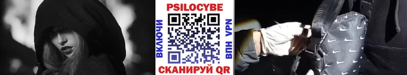 купить наркоту  Реутов  Псилоцибиновые грибы мицелий 